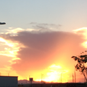 livewonderwander avatar