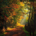 living-for-jesus-and-telenovelas avatar