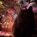 livingdxadwriter avatar