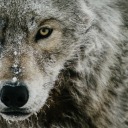 livingfunlife45 avatar