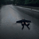 livinginmyheadfr avatar