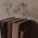 livingintheforest avatar