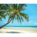 livinglife-123 avatar