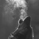 livinglifewithout avatar