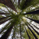 livinglike-itssummer avatar