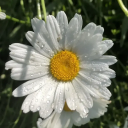 livingmybestfictionallife avatar