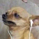 livingnarkotika avatar