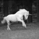 livingonandon avatar