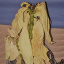 livingonthehedge-hog avatar