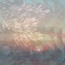 livingroomvisions avatar