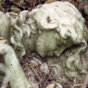 livingunalivegirl avatar