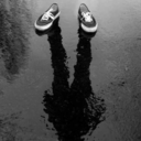 livingvssurviving avatar