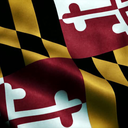 livinlifeloud avatar