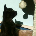 livrelover909 avatar