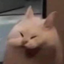 lixy-u avatar