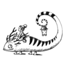 lizard-dream-blog avatar