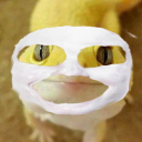 lizardbutwithselfcare avatar