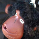 lizardmultitude avatar