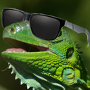 lizardshuffle avatar