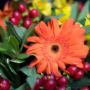 lizlikesflowers avatar