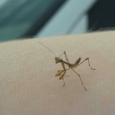 lizzgetscentered avatar