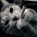 lizzym0therf3ckr avatar