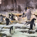 lizzypotter14 avatar