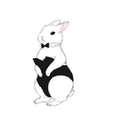 ljnhbunny avatar