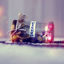 lksleepingbeauty avatar