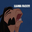 llamafaaaaace avatar