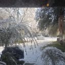 llamalover281 avatar