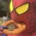 llamasandpianos avatar