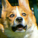 llamasareoverrated avatar