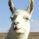 llamasontheceiling avatar