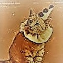 llclown-kittyll avatar