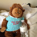 llifeafterlife avatar