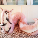 llivinghumangirll avatar