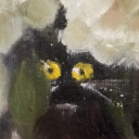 lllichtenberg avatar