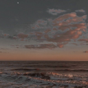 lllkatilcivciv avatar