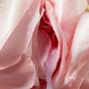 lluvia-en-sus-ojos avatar