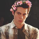 llydiamartinss avatar