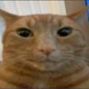 lme-ckkst-blog avatar