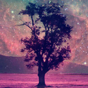 lmjlovelydiva-blog avatar