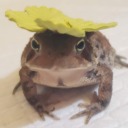 loadsandloadsandloadsoftoads avatar