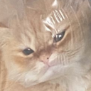 lobertaloberts avatar