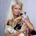 lobstersupremacy avatar