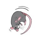 lobstertherat avatar