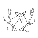 local-anesthetic avatar