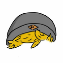 local-nerd-boy avatar