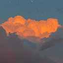 local-teadragon avatar